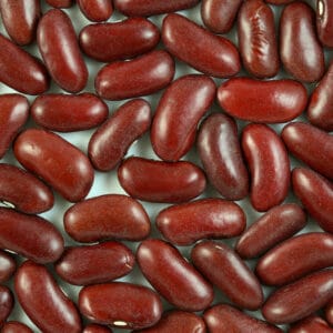 Dark red kidney beans on light background