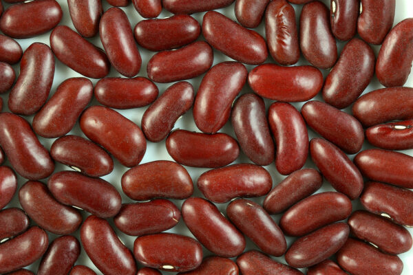 Dark red kidney beans on light background