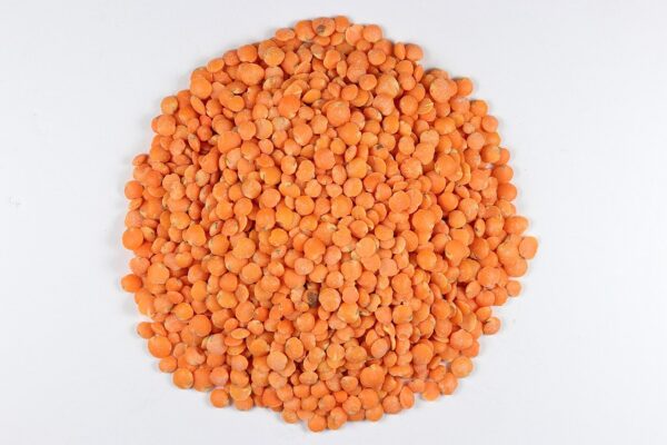 Pile of split red lentils on white background