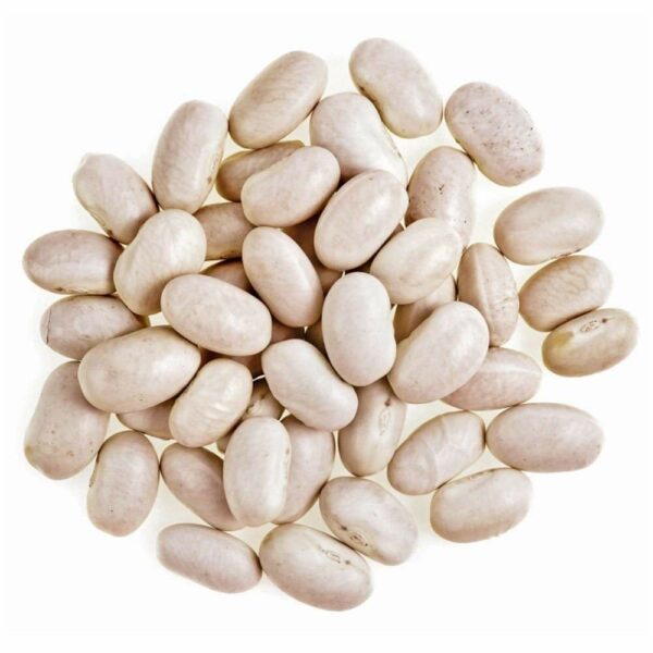 Pile of Great Northern Beans on white surface
