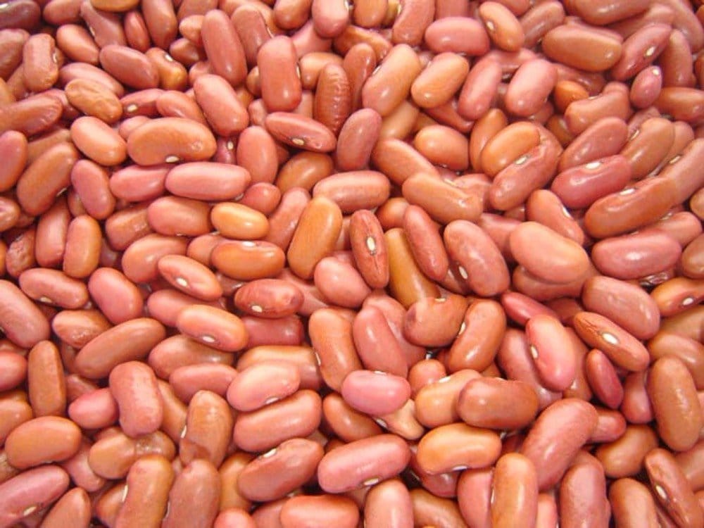 beans-kidney-light-coteau-community-market