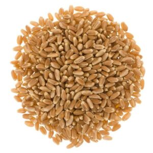 Wheat Berries, Hard Red Spring