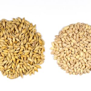 Two piles of barley grains, with (left) and without (right) hull.