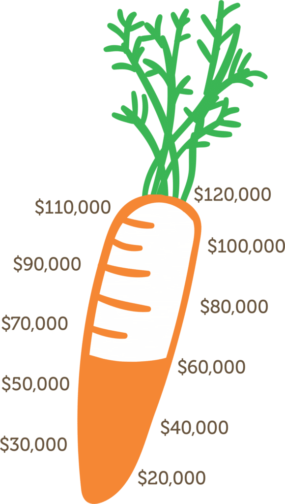 Simple line drawing of a carrot, outlined in orange with green leaves, filled in solid orange up to $60,000. There are lines for every $10,000 starting at $20,000 and ending at $120,000. It indicates how much money has been pledged so far.